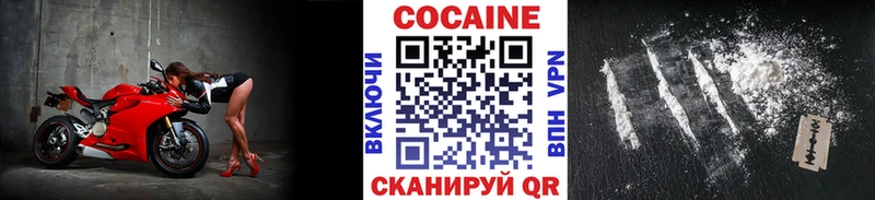цены   Киржач  COCAIN Fish Scale 
