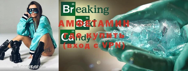 прущие грибы Елабуга