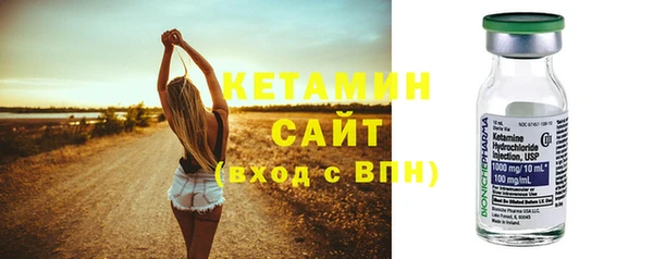 прущие грибы Елабуга