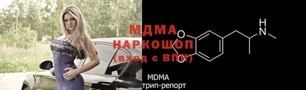 прущие грибы Елабуга