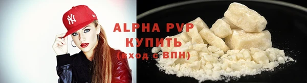 прущие грибы Елабуга