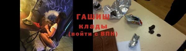 прущие грибы Елабуга