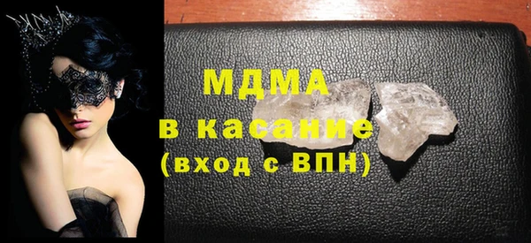прущие грибы Елабуга