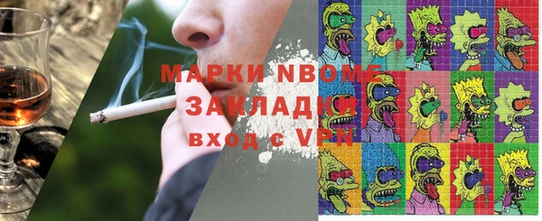 прущие грибы Елабуга
