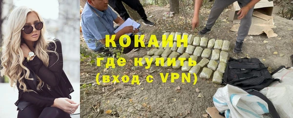 прущие грибы Заводоуковск
