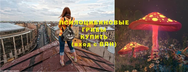прущие грибы Заводоуковск