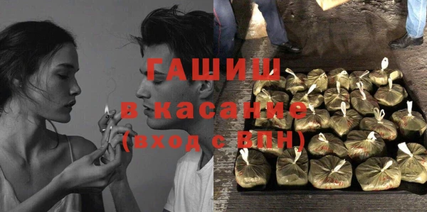 прущие грибы Елабуга