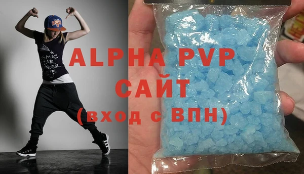 прущие грибы Заводоуковск