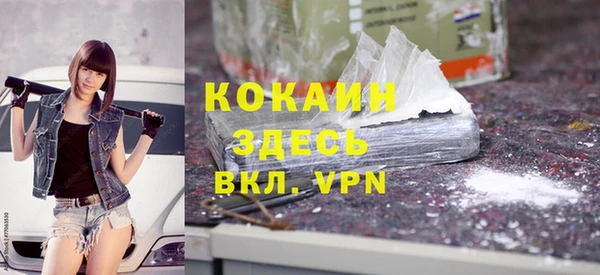 прущие грибы Заводоуковск