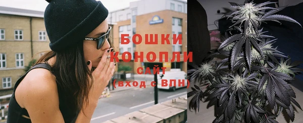 гидропоника Ельня