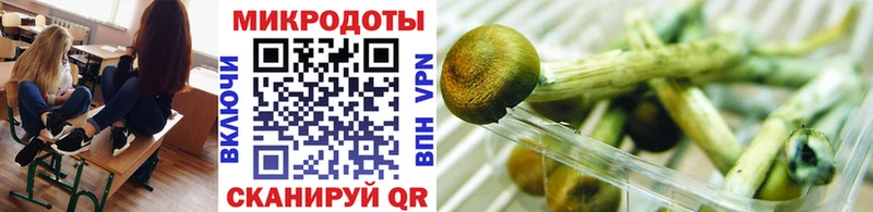 omg рабочий сайт  Киржач  Псилоцибиновые грибы GOLDEN TEACHER  сколько стоит 