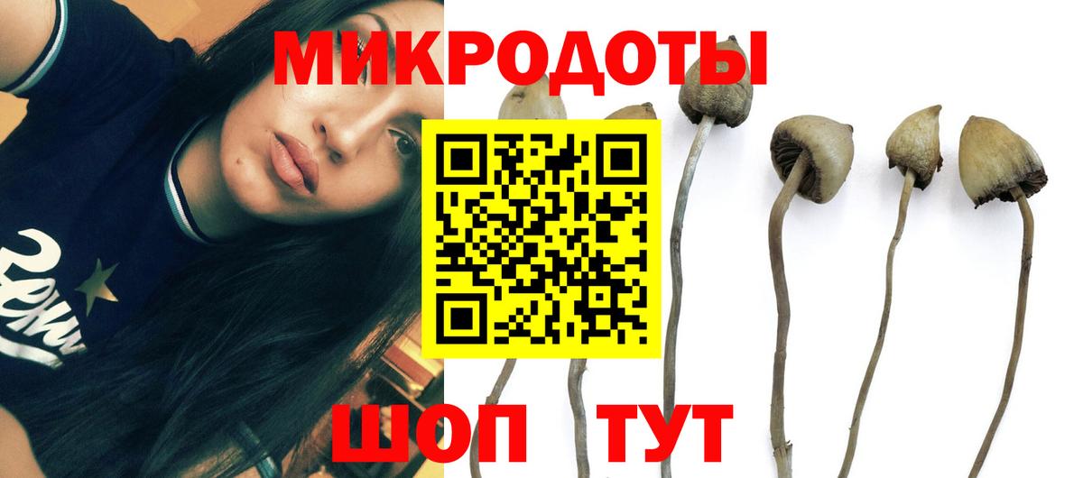 купить  сайты  Галлюциногенные грибы Cubensis  Вход с VPN  Галлюциногенные грибы GOLDEN TEACHER  Киржач 
